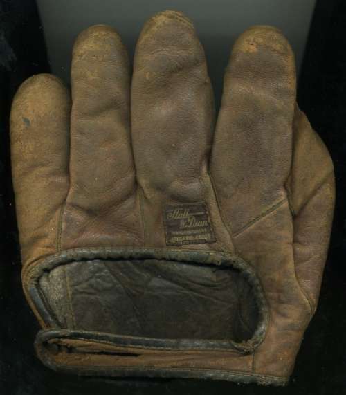 Stall & Dean Full Web Brown Back